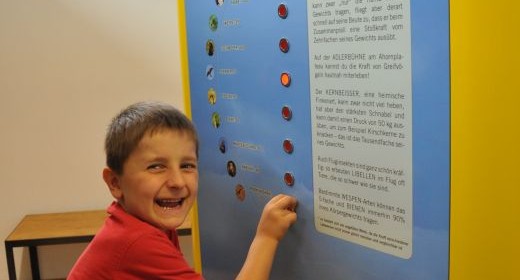 SEHEN WIE EIN ADLER, LAUFEN WIE EIN REH UND SPRINGEN WIE EIN HASE – DAS NATURERLEBNIS-CENTER AM AHORN