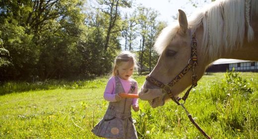 Sauerland – Eine familienbegeisterte Region