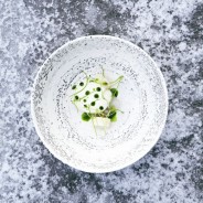 Das Maaemo in Oslo ist das beste Restaurant Skandinaviens