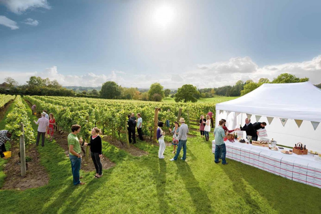 Das prämierte Weingut "Chapel Down Winery" in Tenterden ist definitiv einen Besuch wert. Probiert erlesene Weine und gutes Essen. - Credits: DFDS Seaways